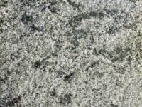 A photo from the BBS stone variety 'Mancha Verde'